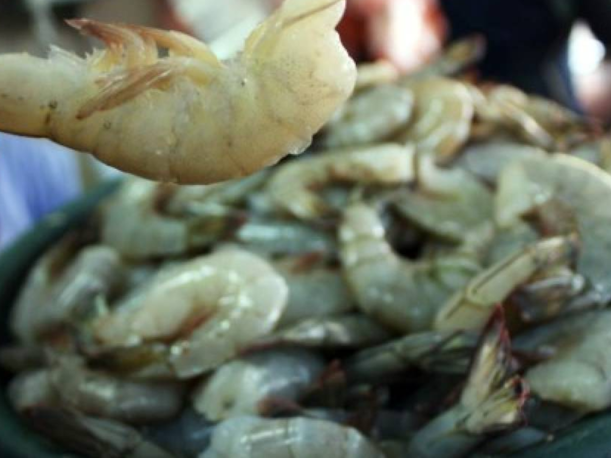 Divisas generadas por el camarón hondureño crecen 12 millones de dólares