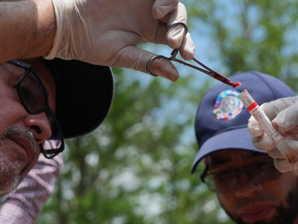 Refuerzan control del gusano barrenador con puestos y corrales de inspección