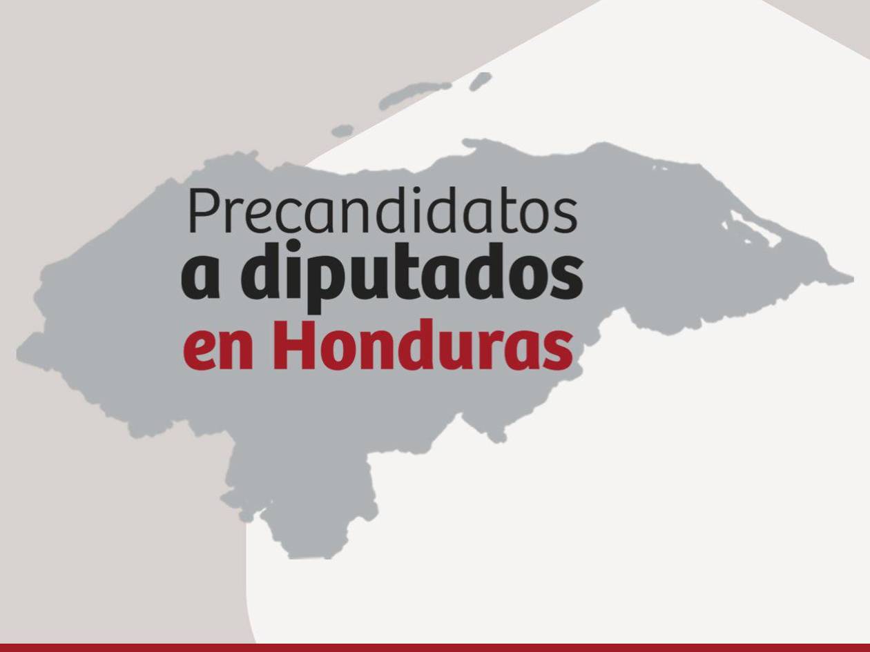 ¿Quiénes son los precandidatos a diputados de las elecciones primarias?
