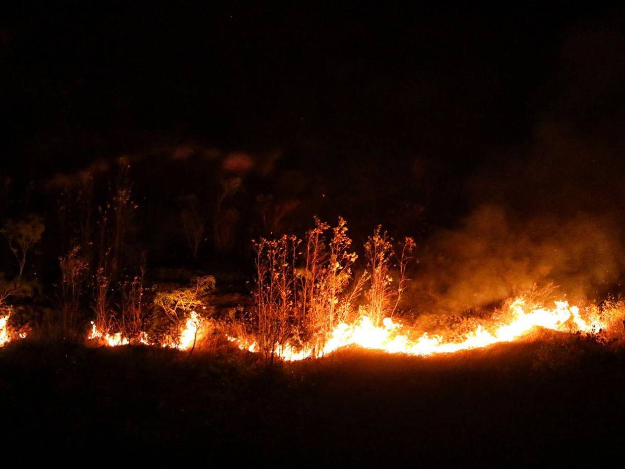 Honduras celebra Día de la Tierra entre fuego, crisis climática y ataques