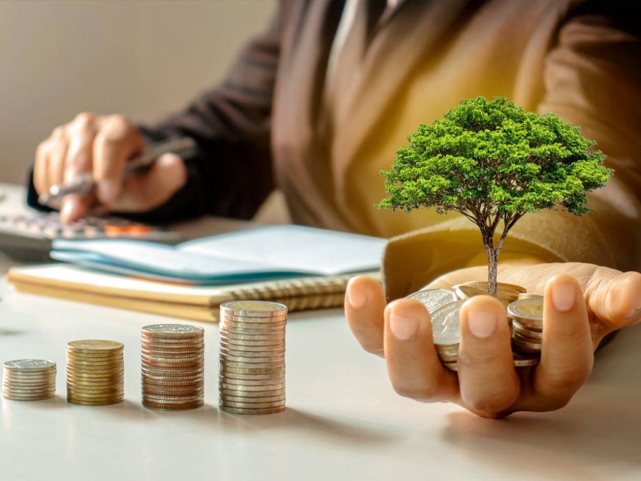Banca privada suma L2,656 millones en ganancias al primer trimestre 2025