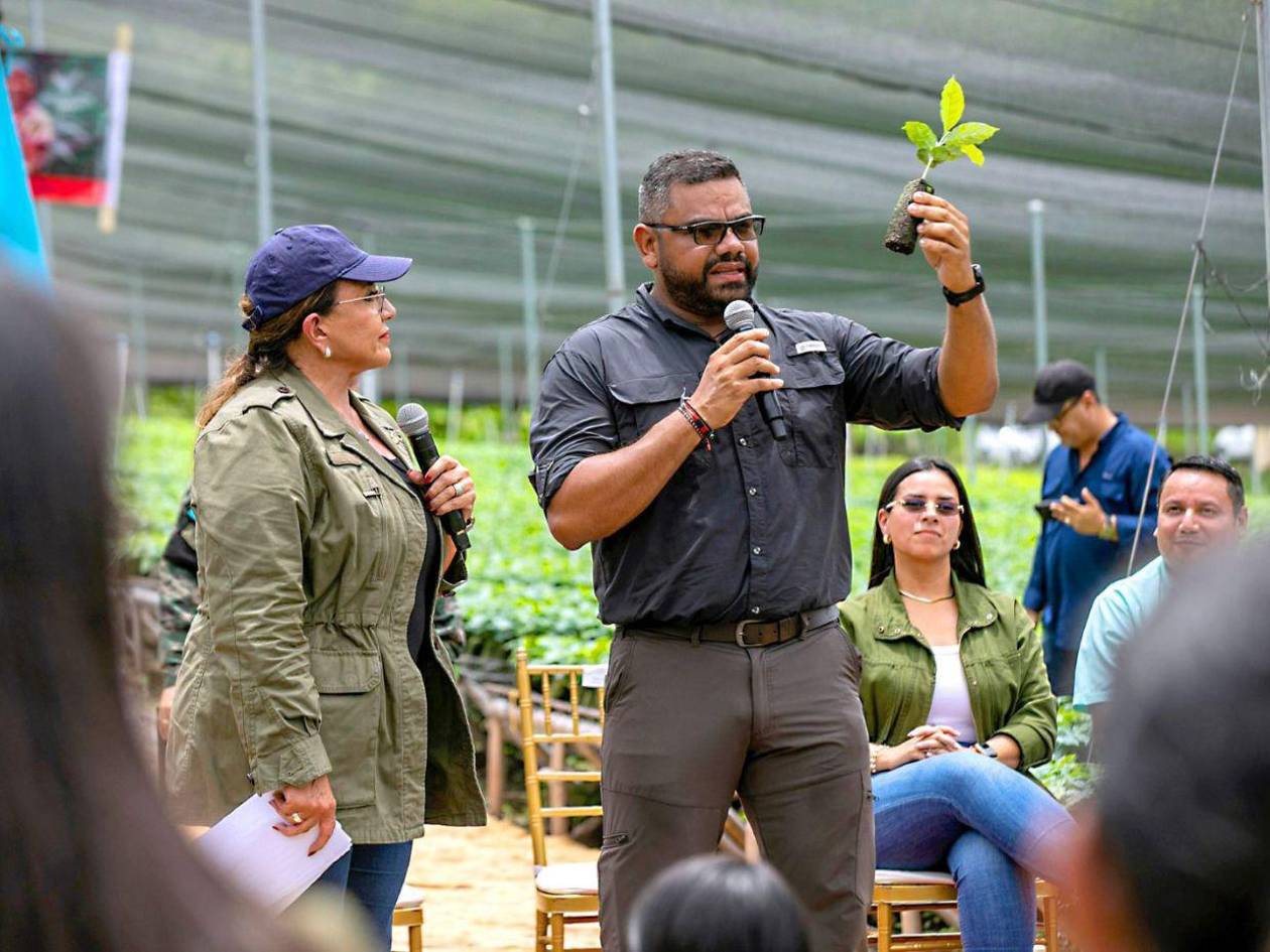 Honduras lanza Agrobosque, el mayor proyecto de reforestación cafetalera en América Latina