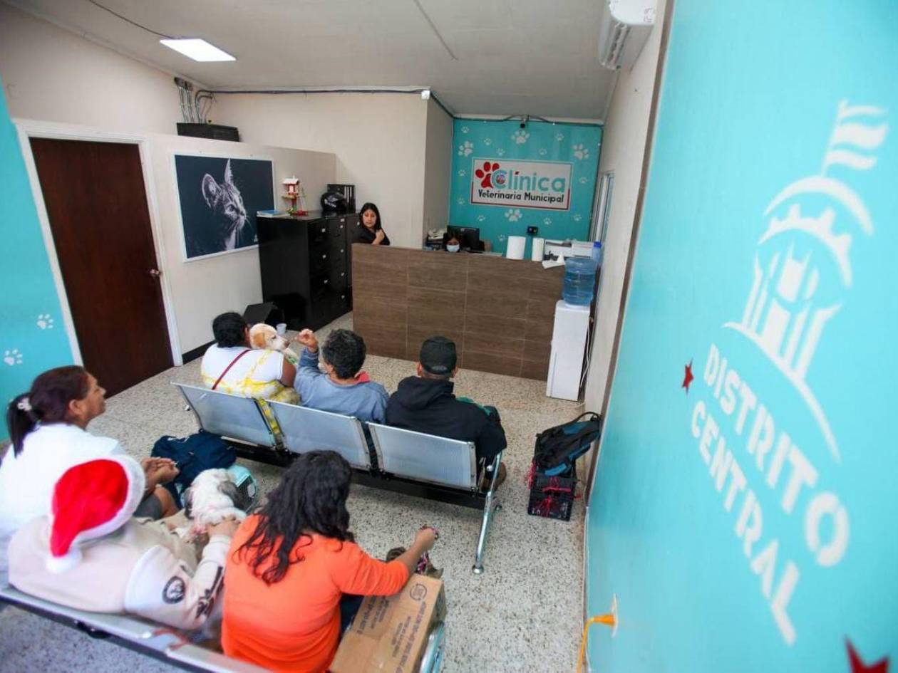 Amplían los horarios de atención en la Clínica Veterinaria Municipal