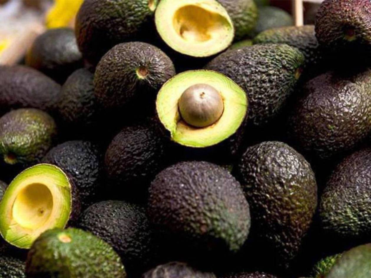 Precio del aguacate mexicano alcanza hasta 30 lempiras en los mercados