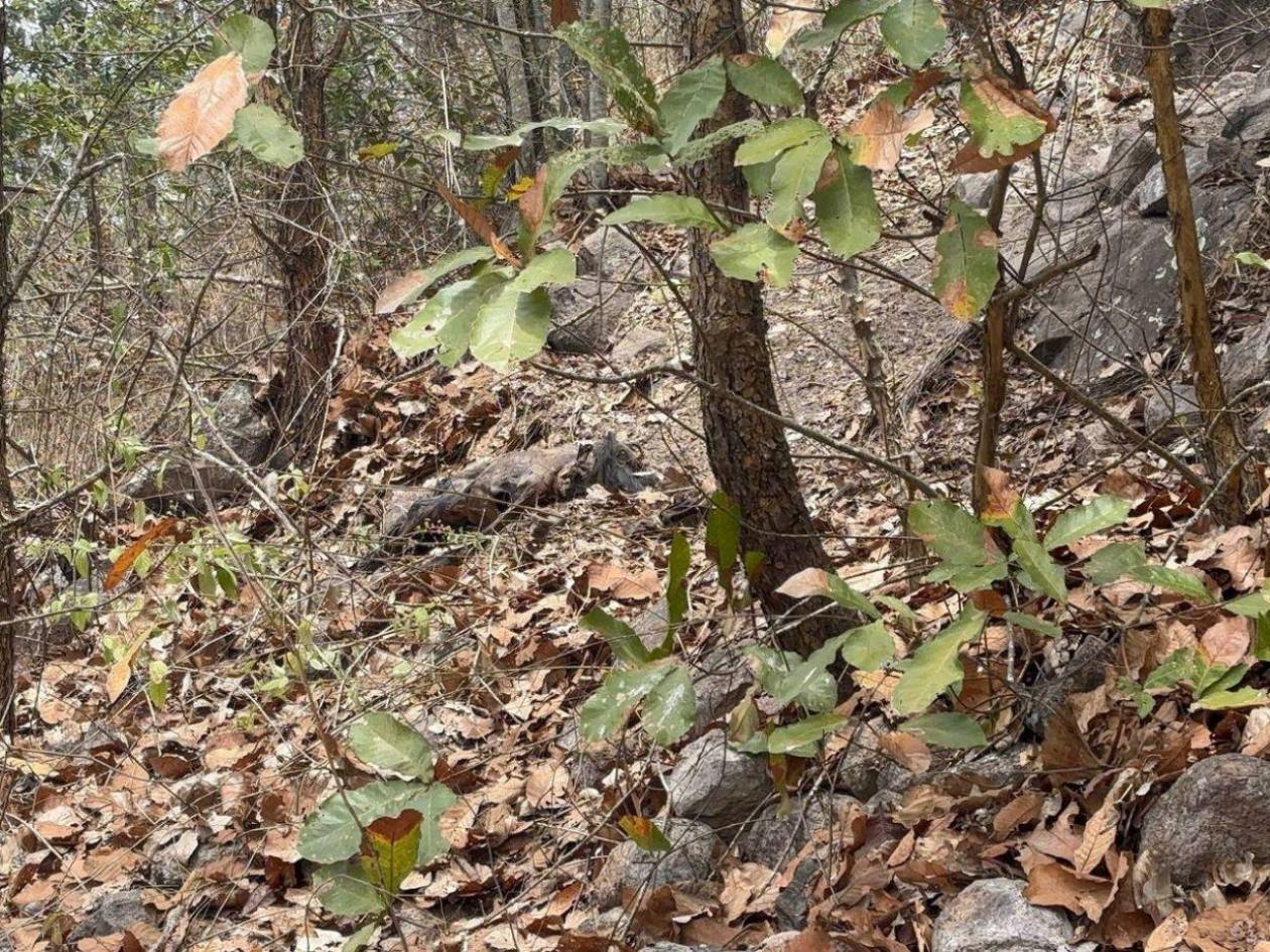 Hallan cuerpo de mujer en estado de putrefacción en la colonia Sagastume