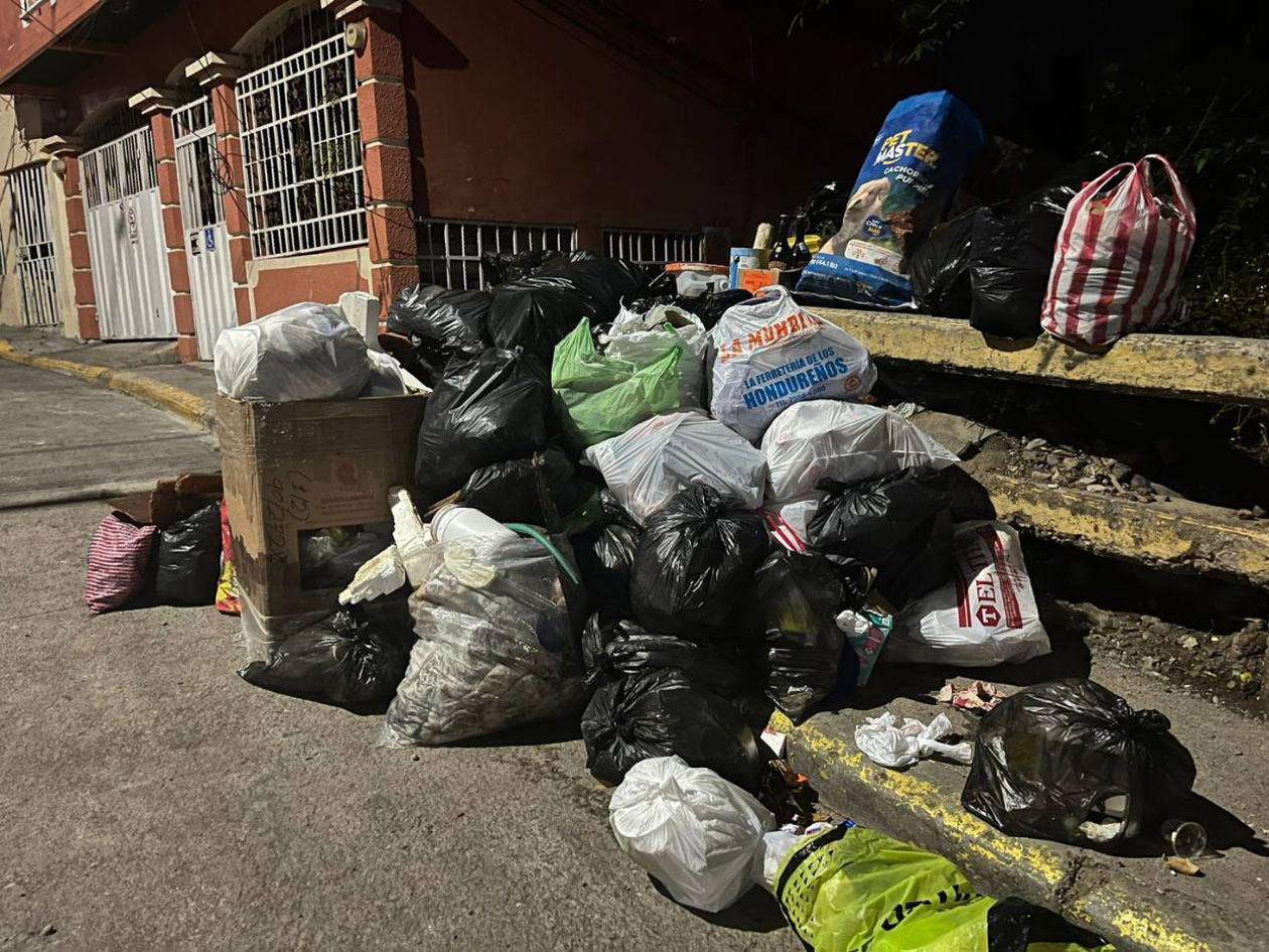 Alarmados vecinos de la colonia San Francisco por botadero que atrae decenas de moscas