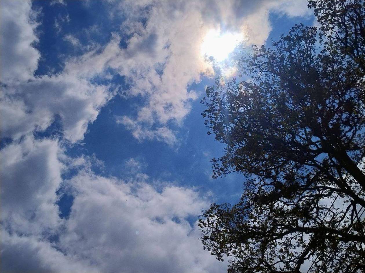 Temperaturas alcanzan los 40 grados Celsius en dos departamentos de Honduras