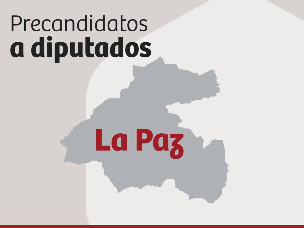Precandidatos a diputados en las elecciones primarias en La Paz