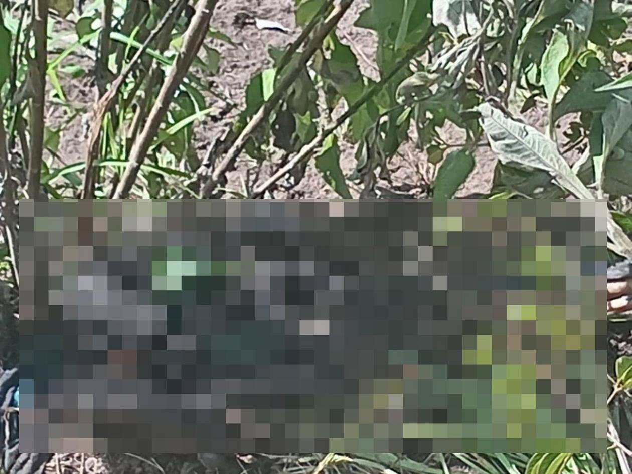 Encuentran cadáver en avanzado estado de descomposición en un cerro en Danlí, El Paraíso