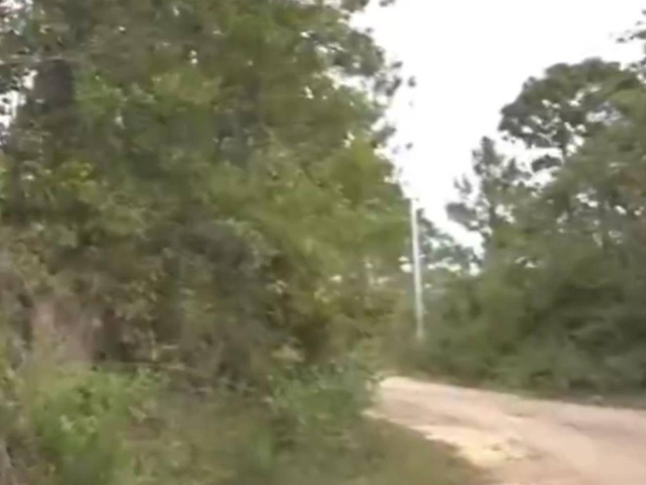 Degollado y desmembrado hallan cuerpo de hombre en Lepaterique, FM