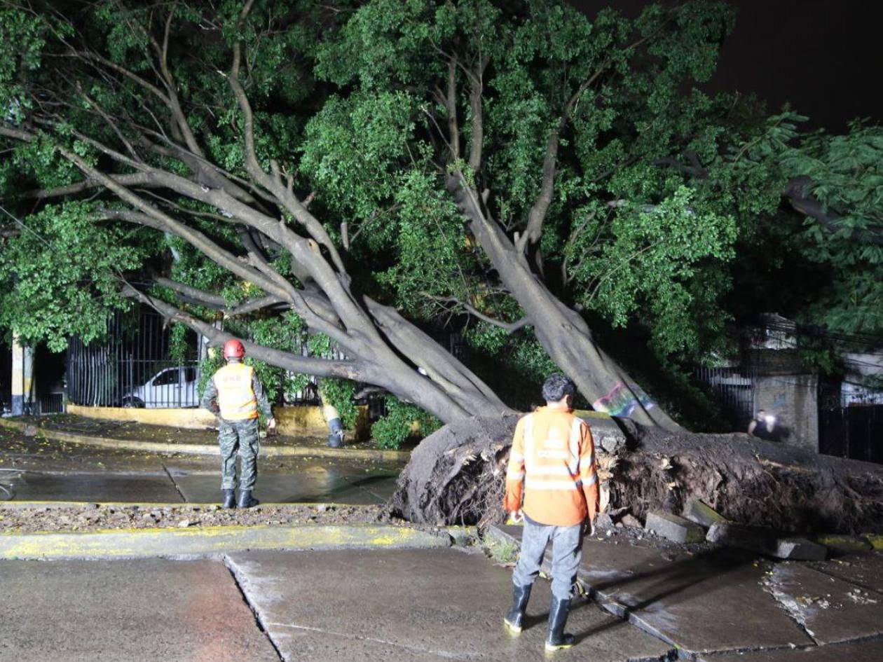 Copeco anuncia que canalizará recursos de emergencia y pedirá apoyo internacional si es necesario