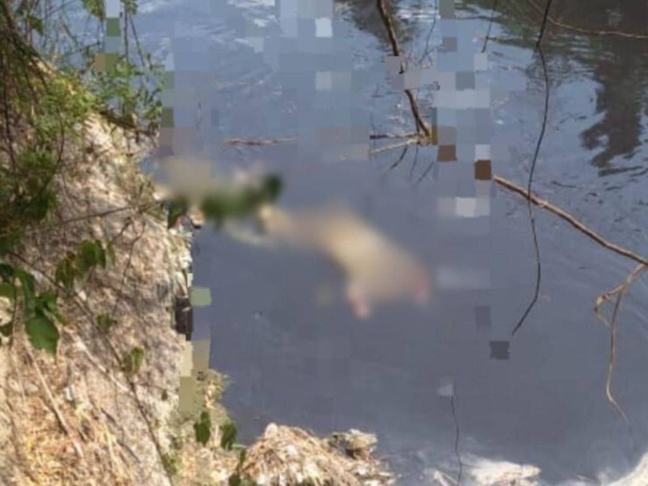 ¿De quiénes serían los tres cuerpos encontrados en descomposición en SPS?