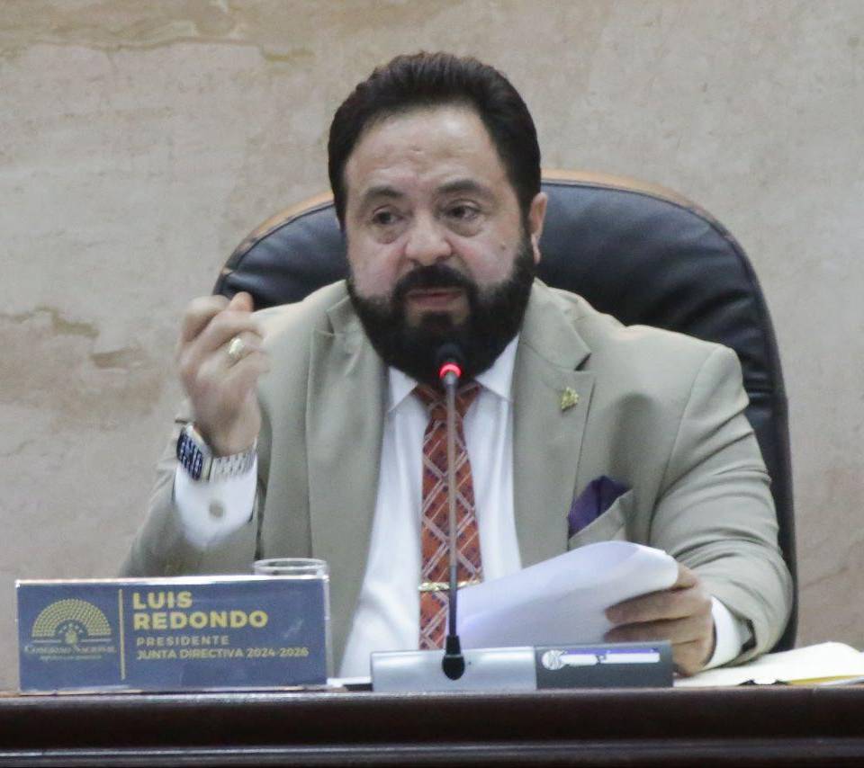 La gestión de Luis Redondo se caracteriza por la improductividad: este 2025 apenas ha sesionado unas 30 veces.
