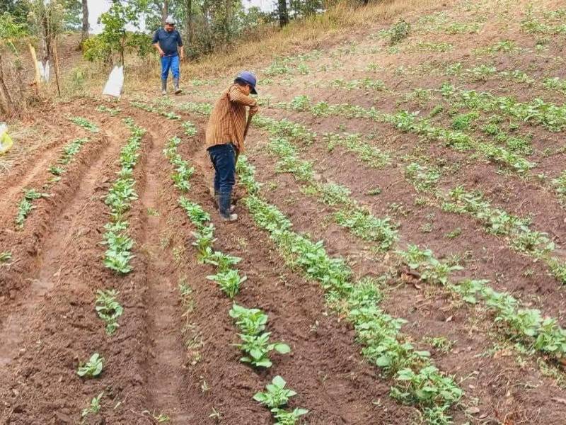 Gobierno de Honduras refuerza medidas ante sequía