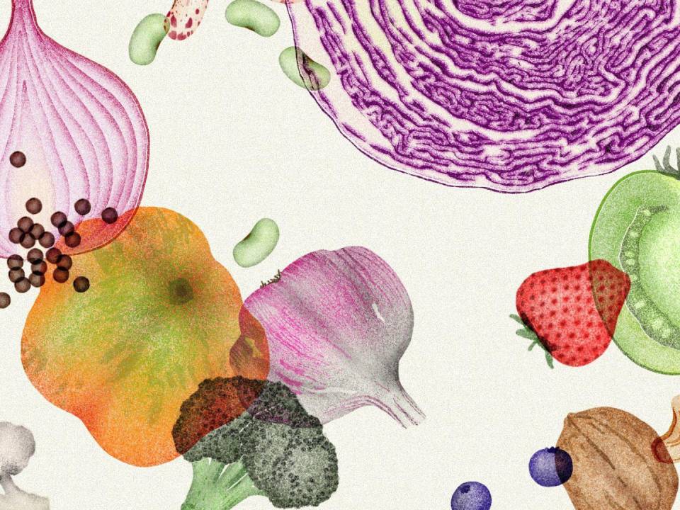 Investigadora del Centro Oncológico Fred Hutchinson explica que una buena alimentación puede ayudar a prevenir el cáncer.