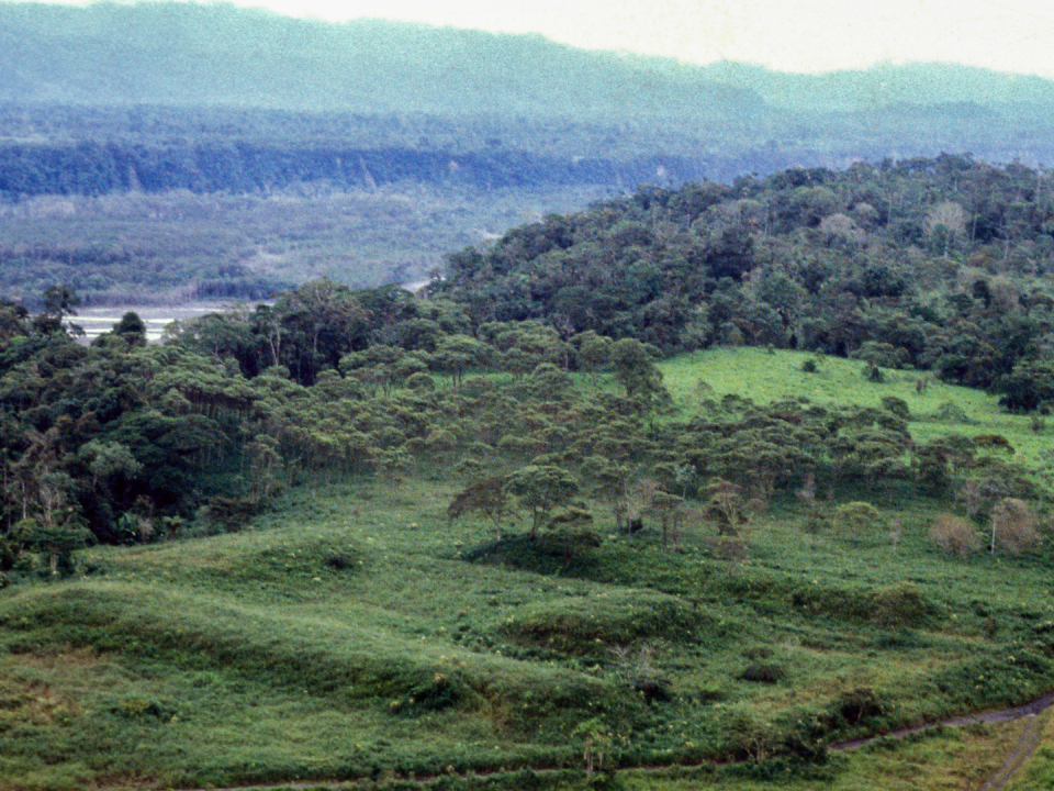 Un complejo de plataformas de tierra rectangulares por el borde de un acantilado del Río Upano en el este de Ecuador.