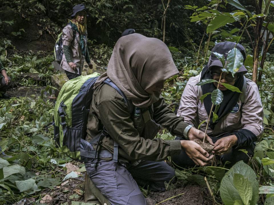 Guardabosques plantan un árbol cerca de Darmaran Baru, Indonesia. De 15 guardabosques, 10 son mujeres.