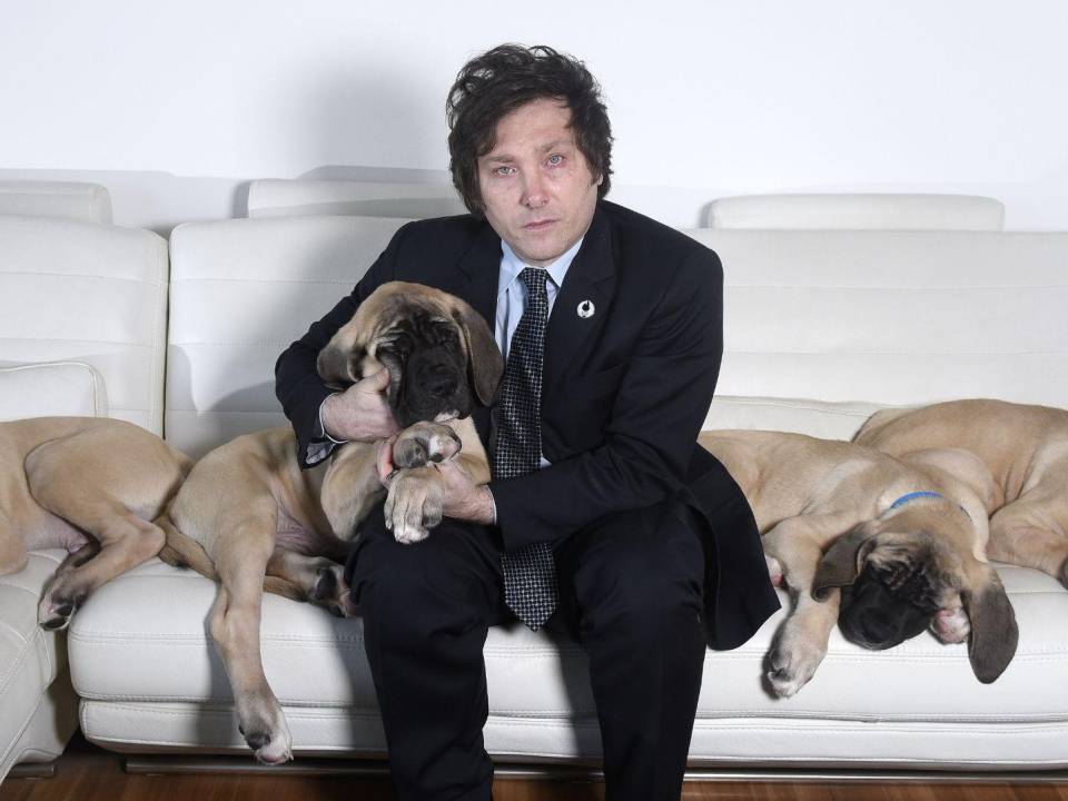 Javier Milei, candidato presidencial en Argentina, en casa en el 2018 con sus cachorros de mastín clonados.