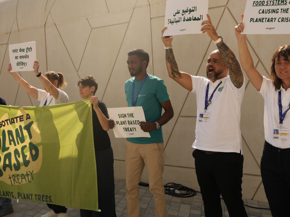 Activistas en la cumbre del clima 2023 en Dubai presionaron por un Tratado Basado en Plantas.
