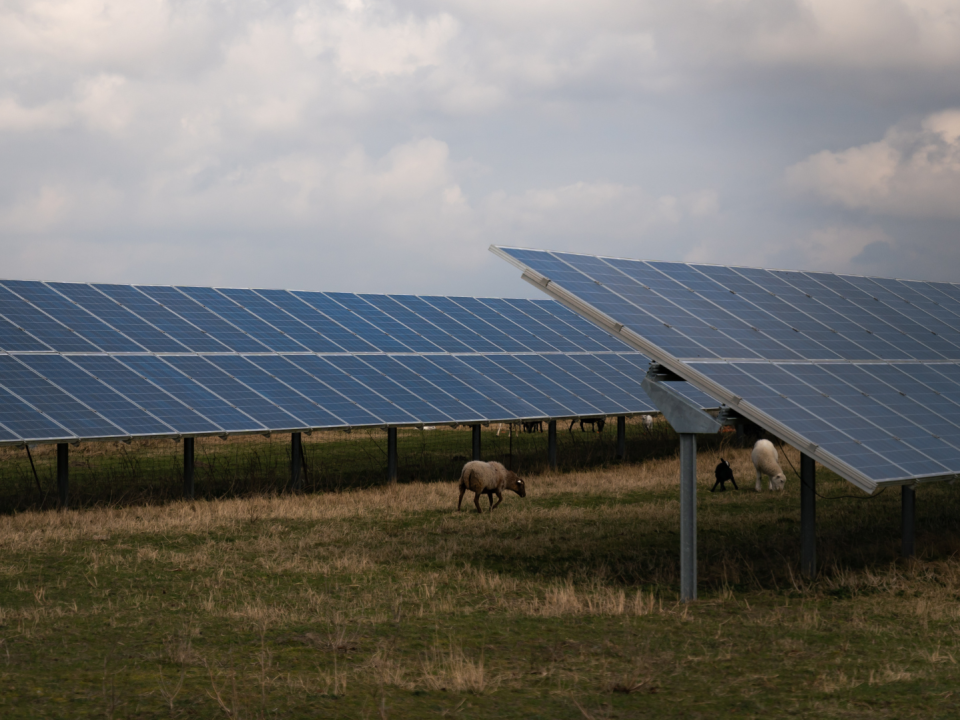 Una instalación solar en el este de Alemania, una región que alberga varios fabricantes de paneles solares.