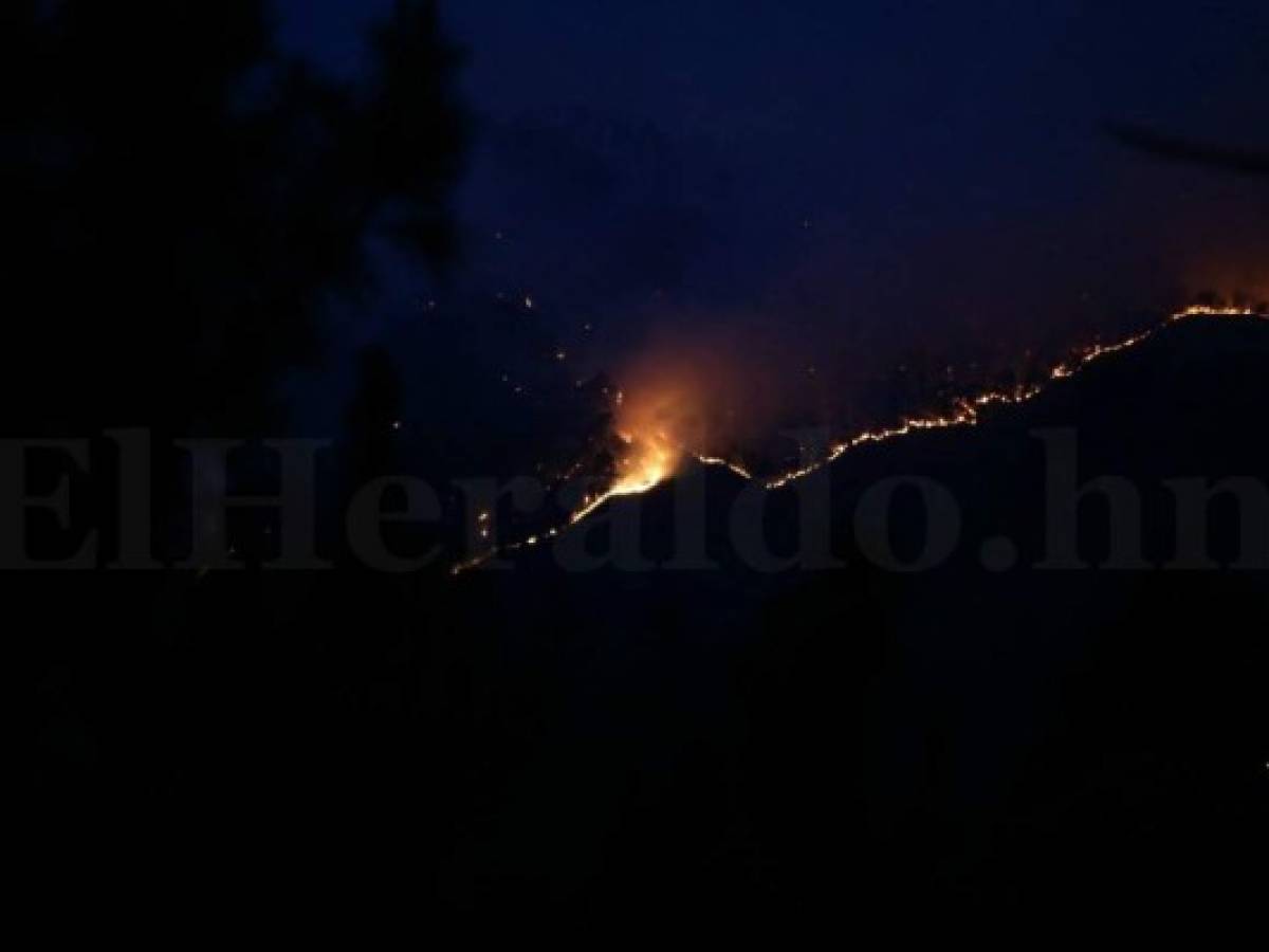 Honduras: Incendio amenaza ahora a montaña de La Tigra