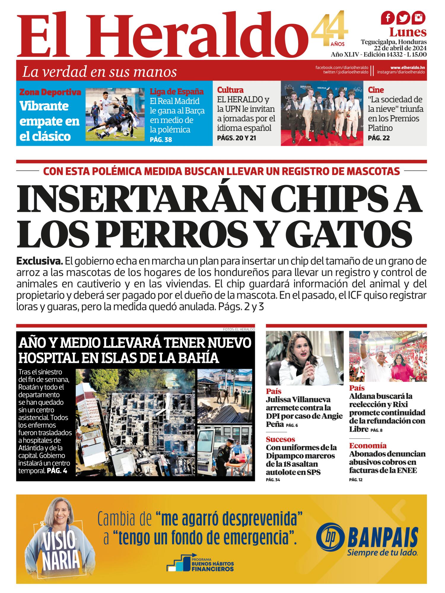Insertarán chips a los perros y gatos