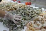Los acuicultores hondureños esperan que México suspenda el bloqueo al camarón a finales del presente mes.