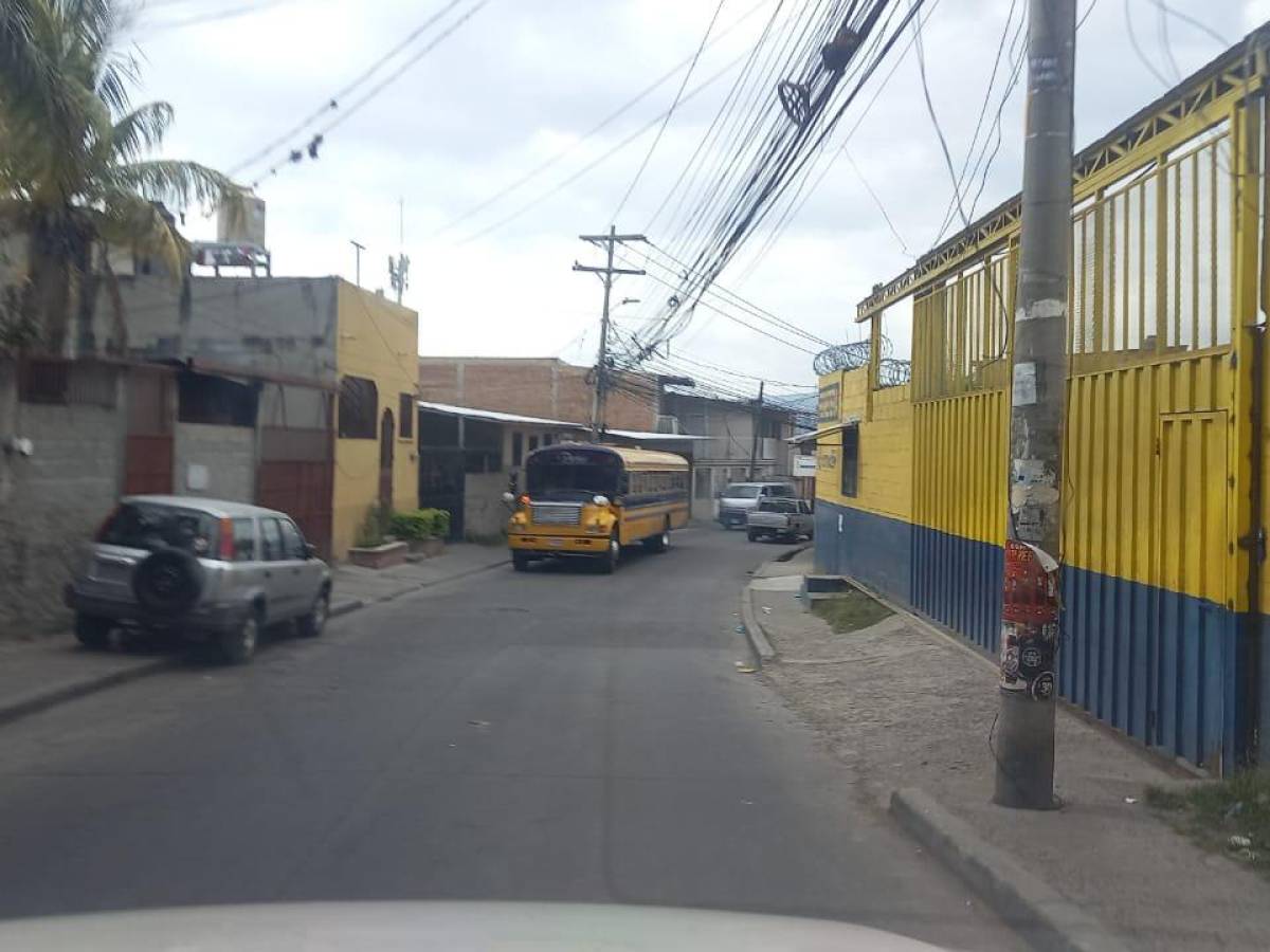 Un trayecto de la Cañada, Pedregal y Alemán fue recorrido por este rotativo.