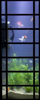 Lóndres, una colorida capital de la luz en Europa