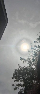 Así vivieron el eclipse solar los hondureños en Estados Unidos y el resto del mundo