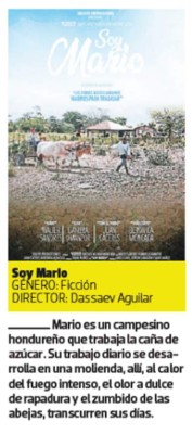 ¡Luces, cámara y acción! Estos son los cortos de EL HERALDO en 2019