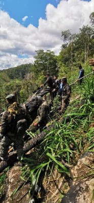 Honduras: Destruyen cultivos de hoja de coca en Colón&nbsp;&nbsp;&nbsp;&nbsp;