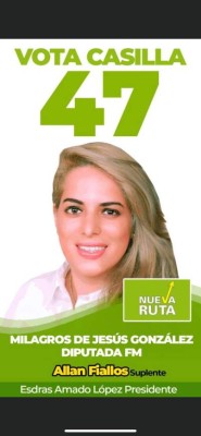 Partido Nueva Ruta: los 23 candidatos a diputados de Francisco Morazán