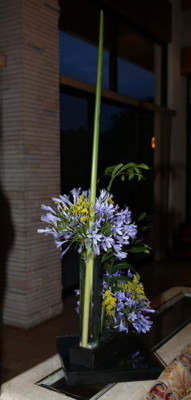 Exposición Jardineras sin Límites