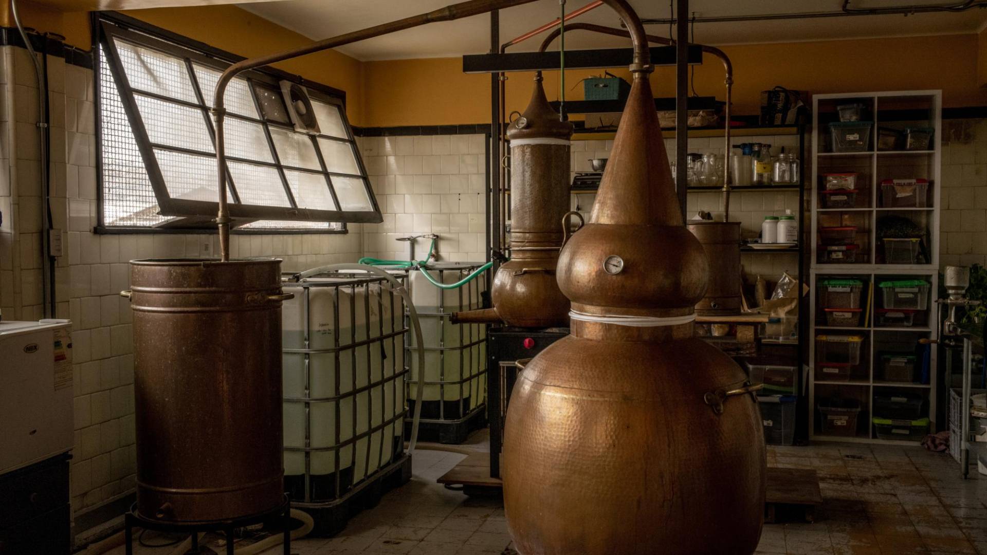 $!Tras un auge reciente, Chile tiene 100 marcas de gin. Zunda, una microdestilería en Santiago.