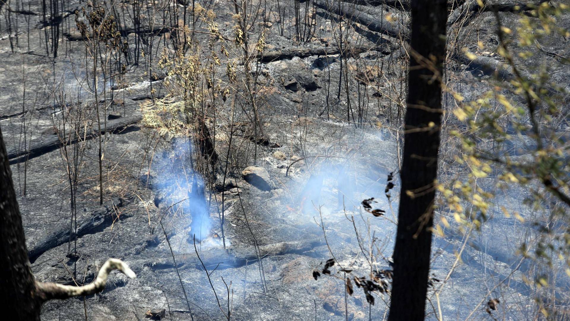 $!Así quedó la zona de La Tigra donde ya se combatió el incendio forestal.