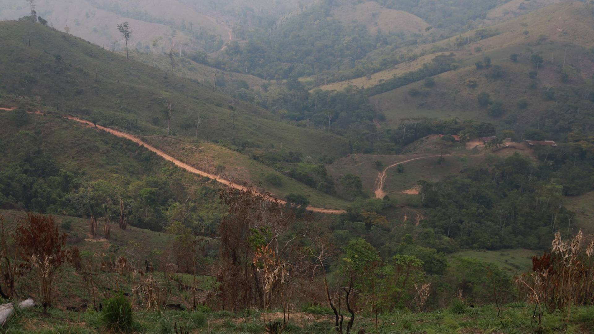 $!Las Fuerzas Armadas tuvieron la oportunidad de dinamitar la primera narcocarretera pero la iniciativa fue frenada por el gobierno de Xiomara Castro
