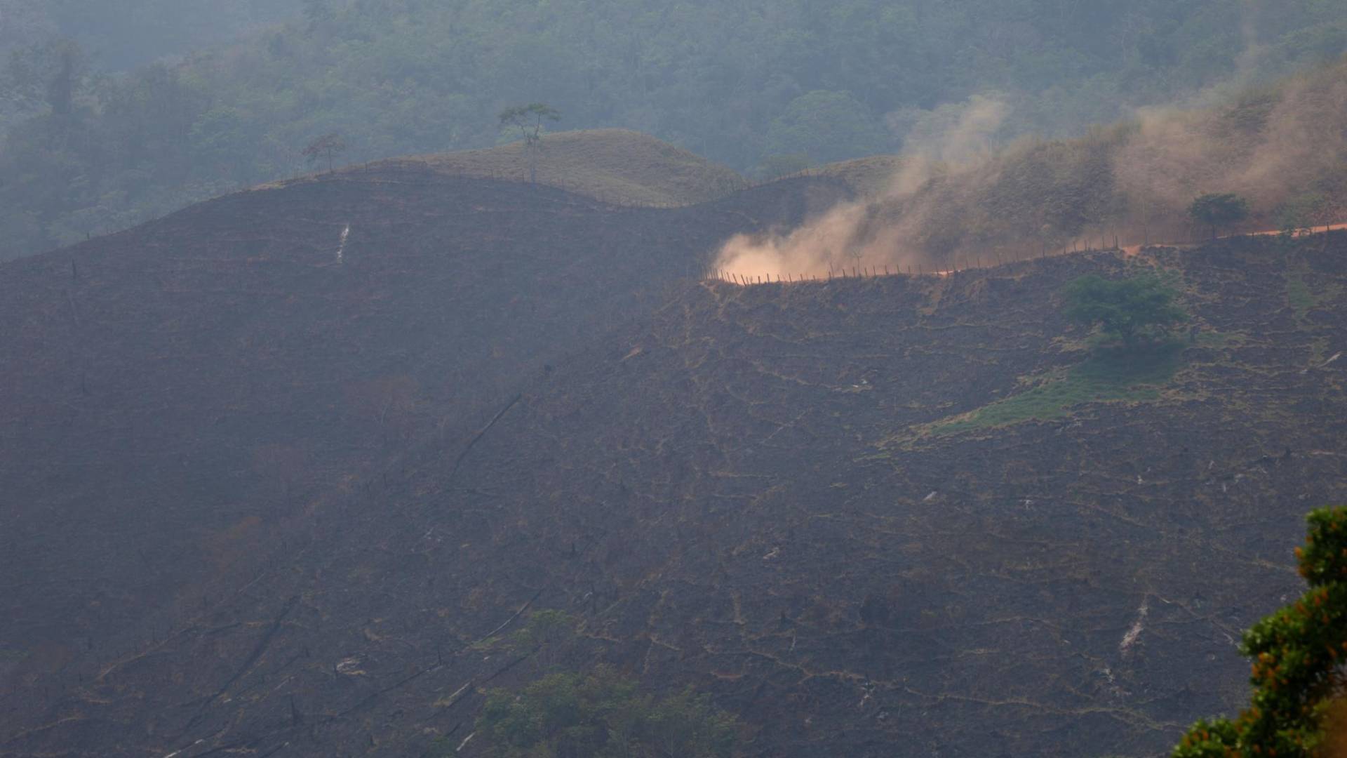 $!Las capas de polvo se levantan con el paso de vehículos, lo que evidencia el tránsito frecuente y constante por los caminos que no deberían de existir.