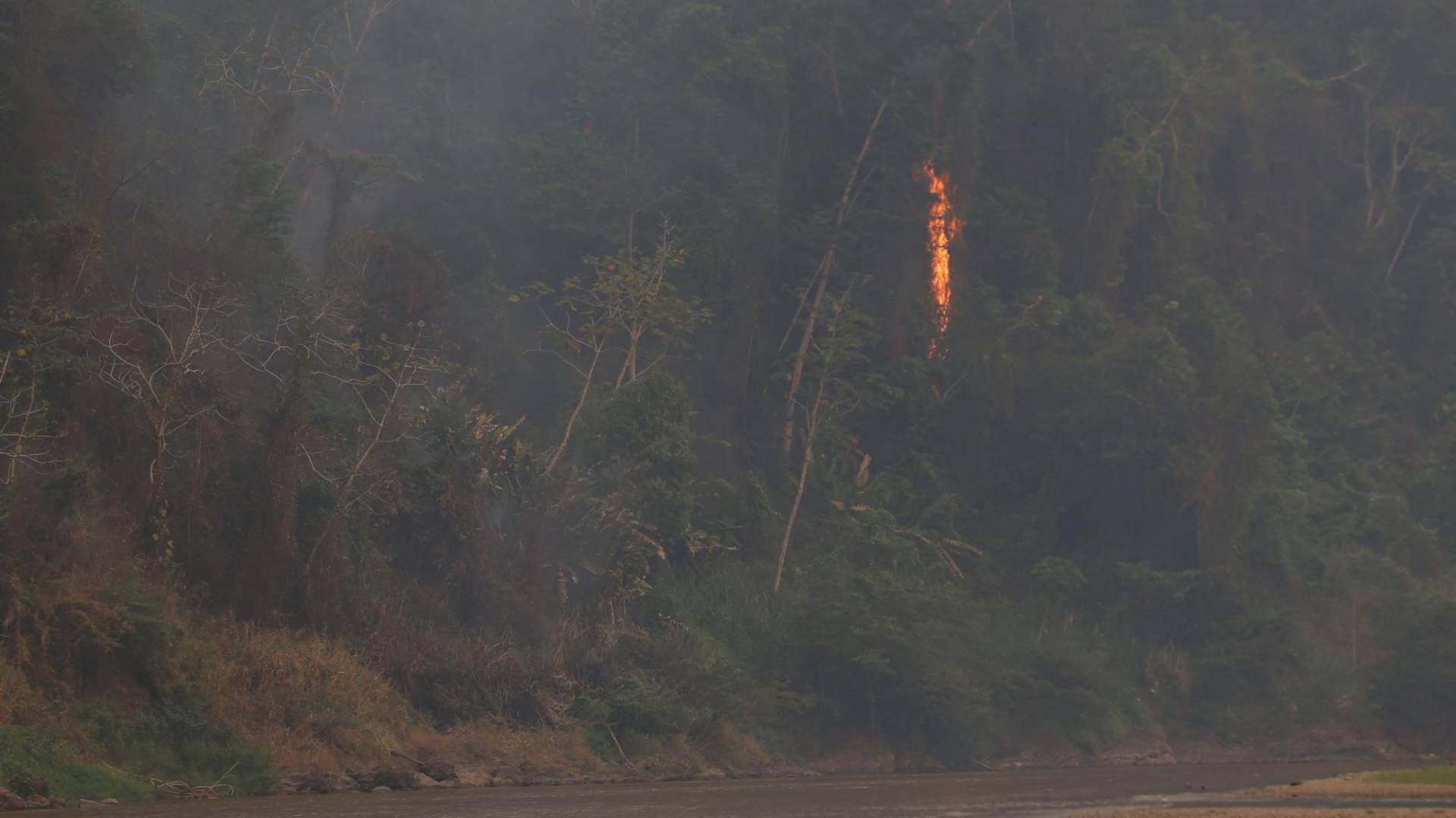 $!Durante el recorrido se pudo observar una gran cantidad de incendios en la zona boscosa.