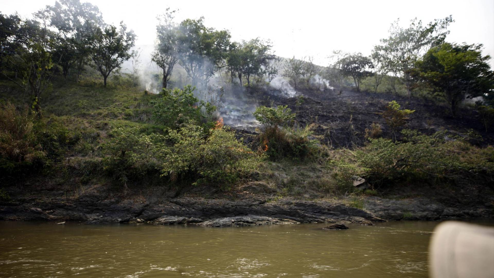 $!A lo largo del río Coco o Segovia los incendios forestales para el cambio de suelo de selva a potrero son constantes.