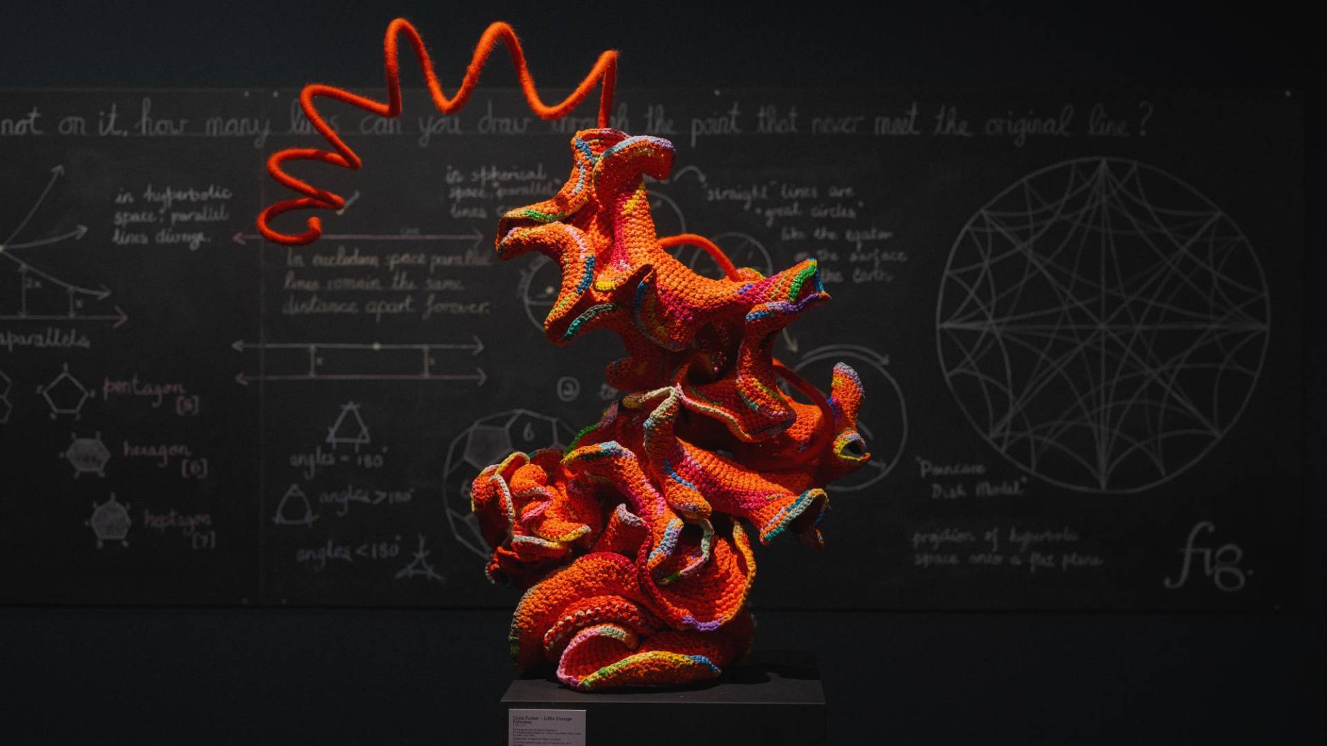 $!A las hermanas Wertheim les gustan los diseños geométricos, piedra de toque para su proyecto Arrecife de Coral de Crochet.