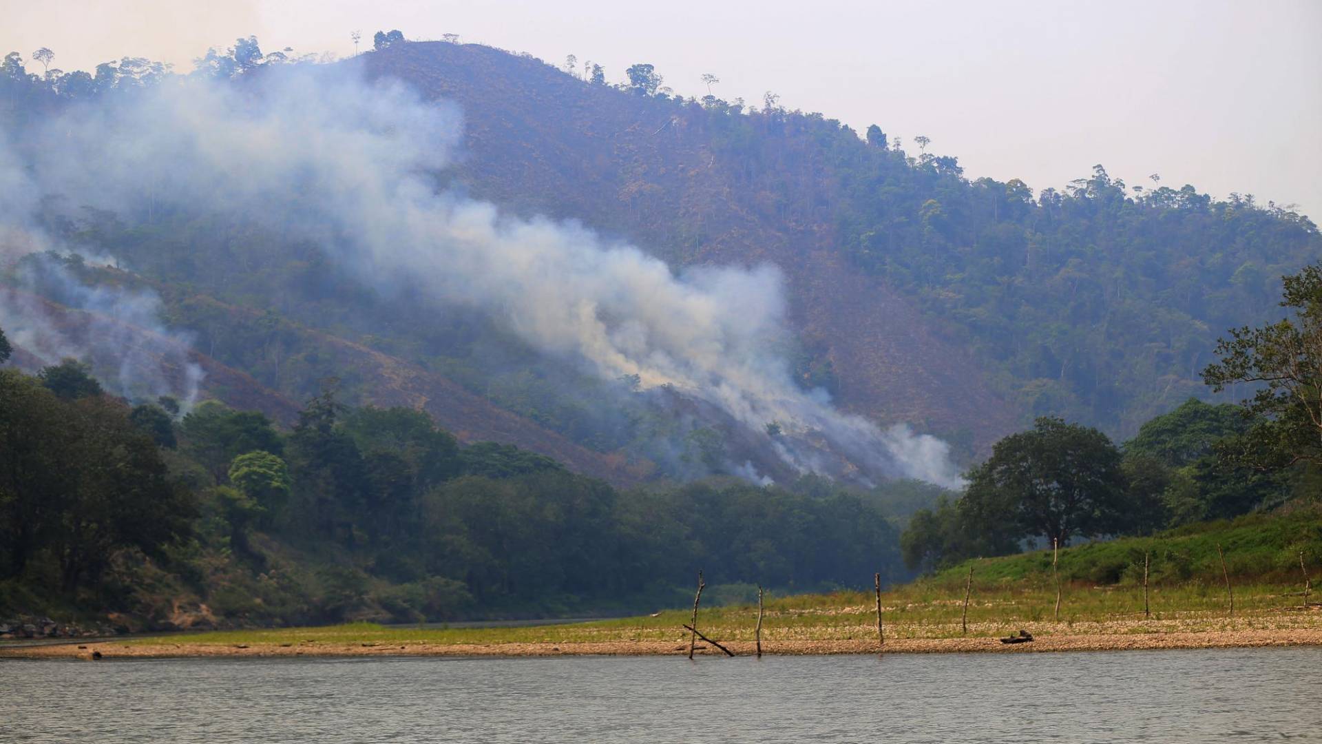 $!Los incendios forestales para crear potreros están acabando con la cuenca.