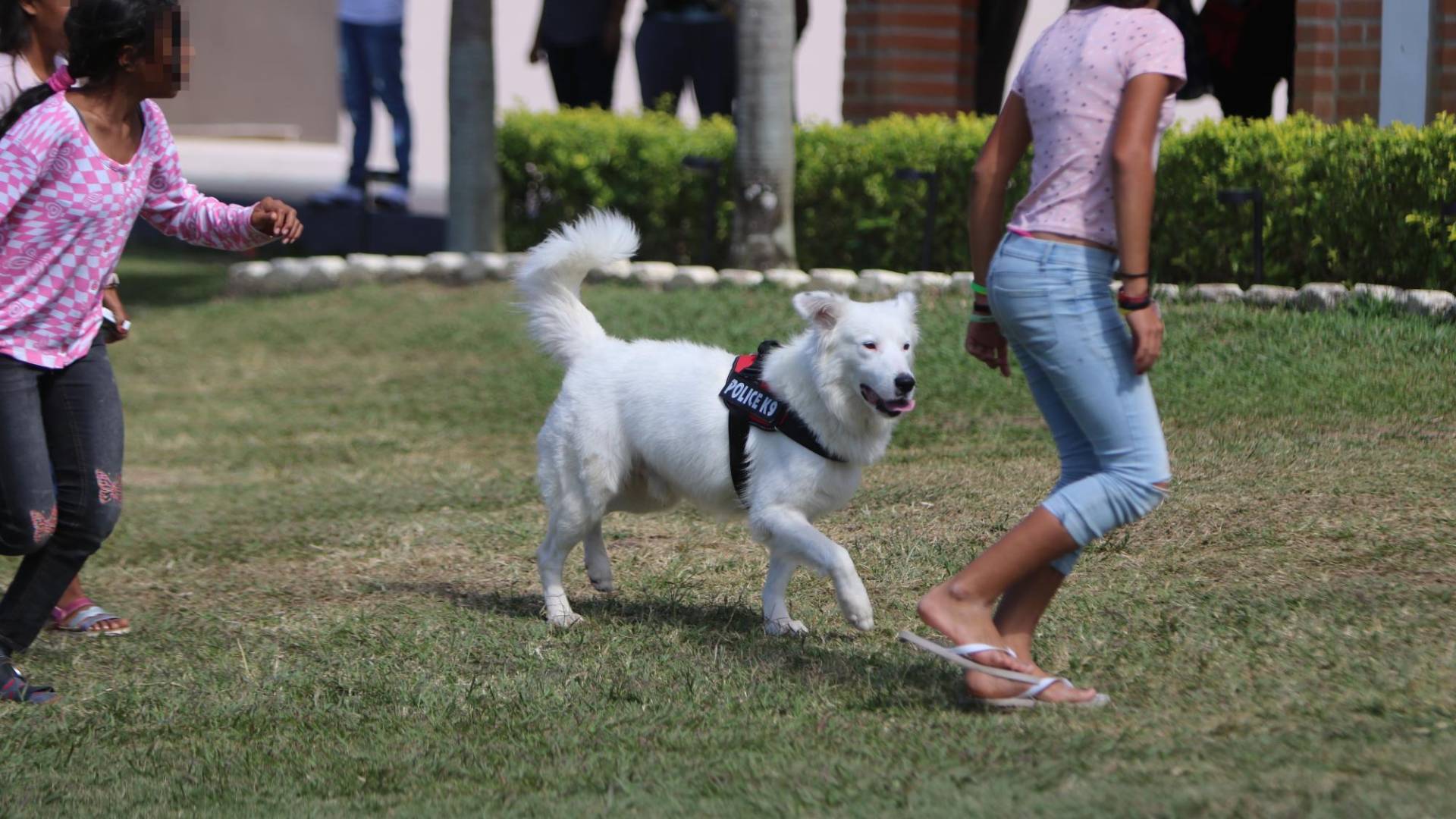$!Los niños se divierten con la mascota de todos, llamada Snow, un perro que les alegra el día cuando juegan juntos en sus tiempos de esparcimiento.