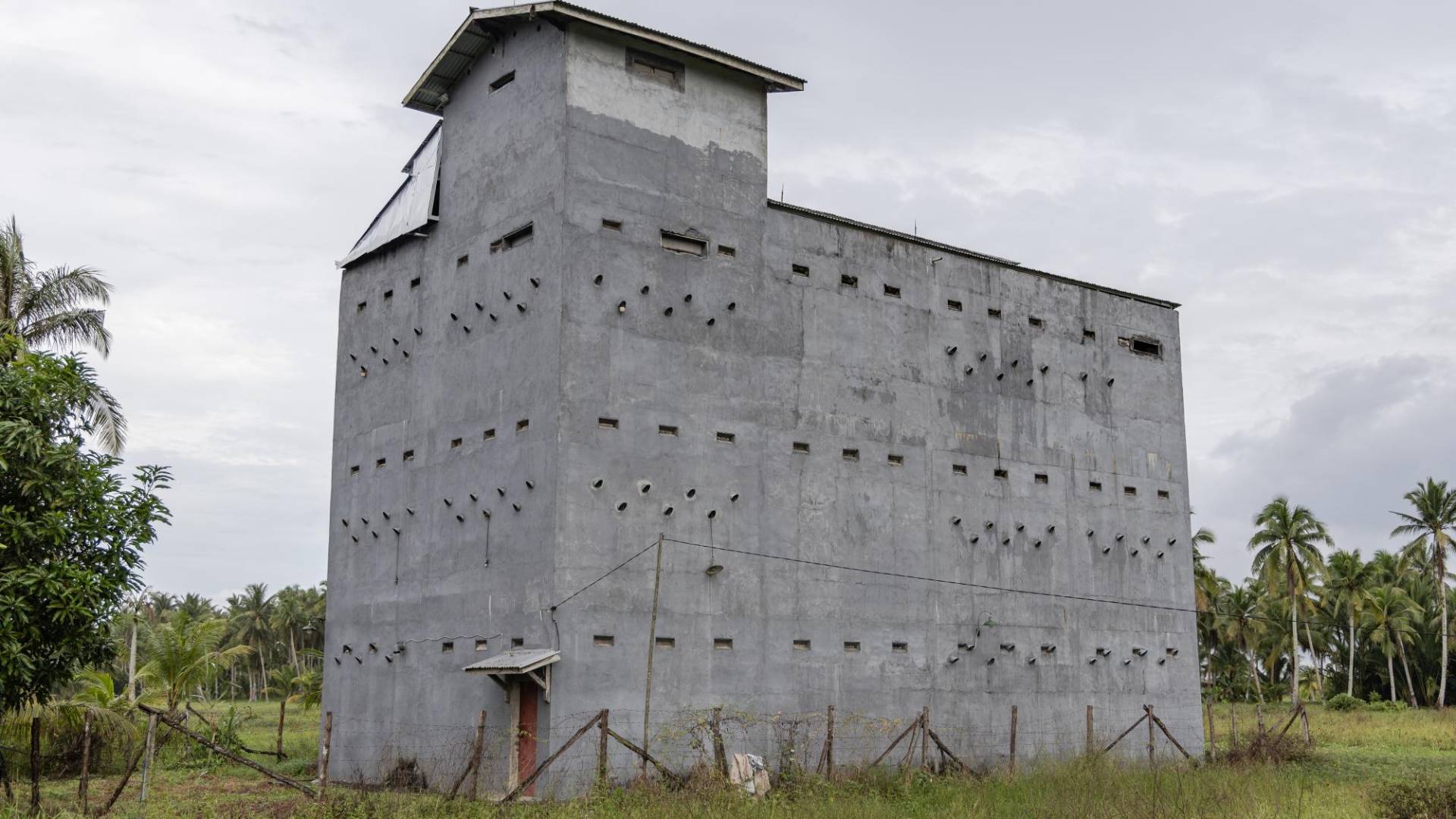 $!Una pajarera en Borneo para salanganas, construida para imitar las condiciones en cuevas