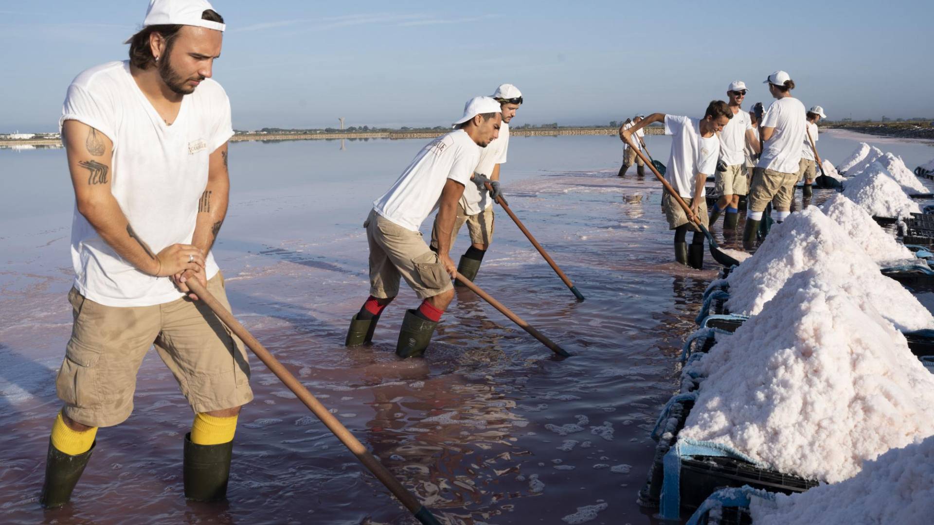 $!En Aigues-Mortes, en el sur de Francia, la flor de sal sólo se cosecha en verano, cuando se condensa el agua de mar lo suficiente para que se formen cristales de sal en su superficie.