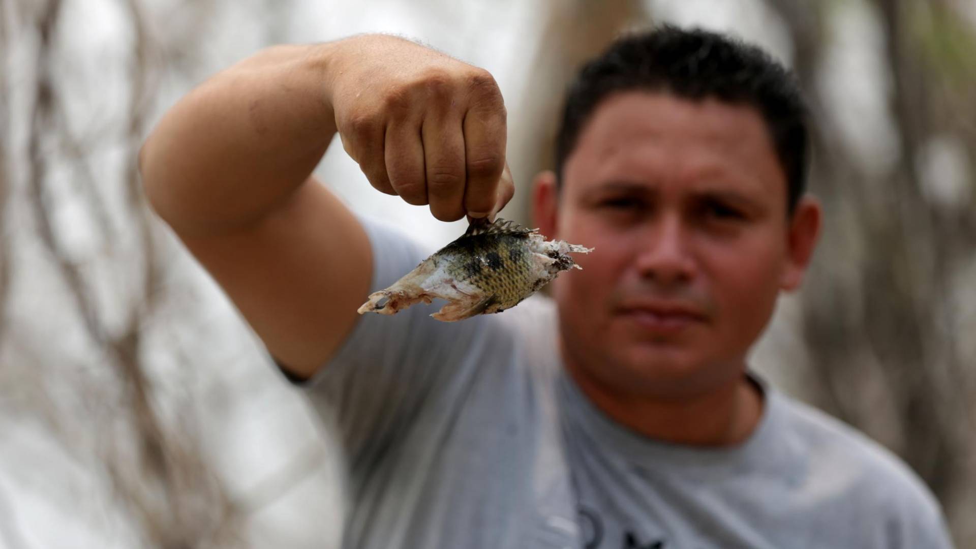 $!Elías Montes, presidente de los pescadores de El Cajón, muestra un alevín -pez pequeño- que es lo que cazan los patos para alimentar a sus crías y que está dejando sin peces grandes para poder pescar.