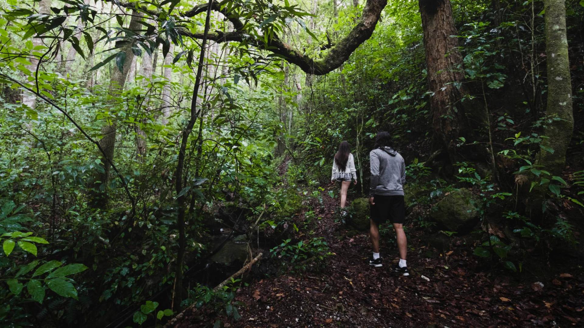$!Uno de los atractivos naturales que los capitalinos pueden visitar en esta Semana Morazánica es la zona protegida de La Tigra.