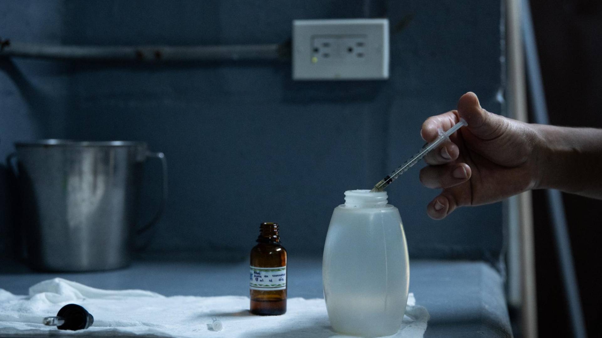 $!Dosificando una bebida de yogur con aceite de cannabis para un oso de anteojos en el Zoológico de Cali, Colombia.