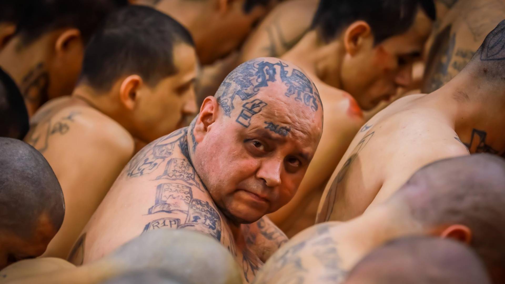 $!Considerados como terroristas los pandilleros en El Salvador no tiene Derechos Humanos