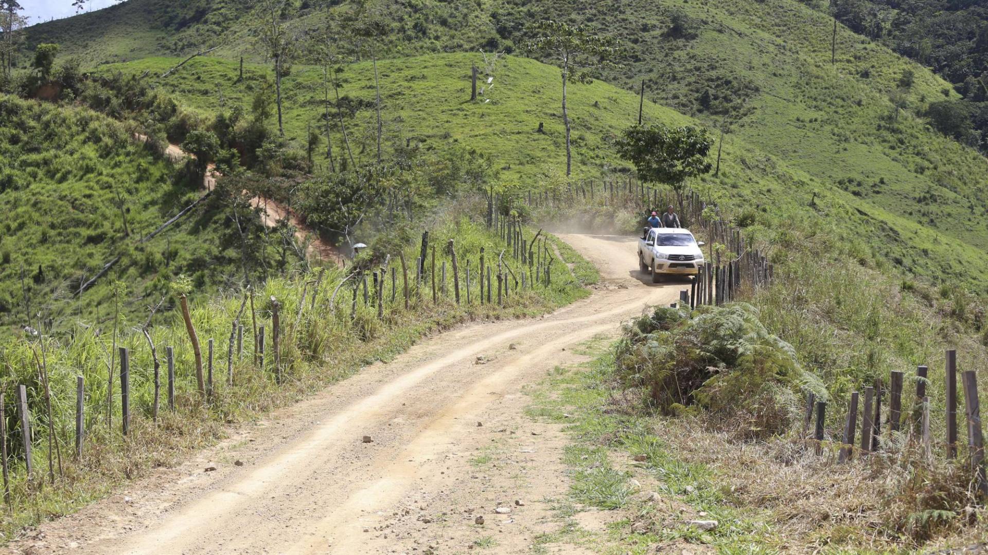 $!En la Biósfera del Río Plátano se construyó una carretera ilegal que terminó con 30 mil hectáreas de bosque.